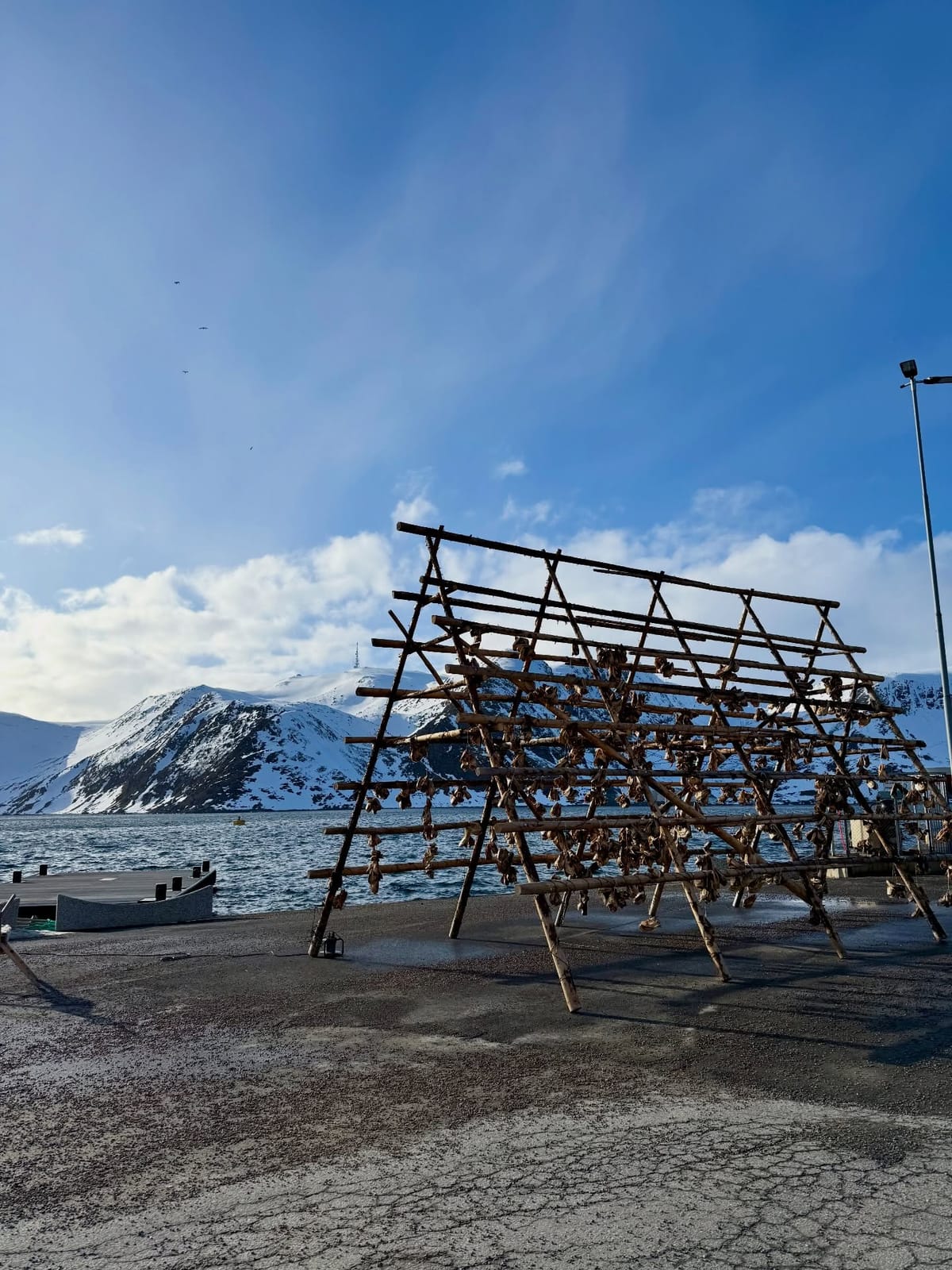 Arctic everyday life ⚓ #Honningsvåg #NorthNorway #ArcticLife #VisitNordkapp #ExploreMore